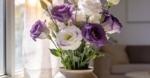 Kwiat eustoma w doniczce: profesjonalna uprawa i pielęgnacja w domu